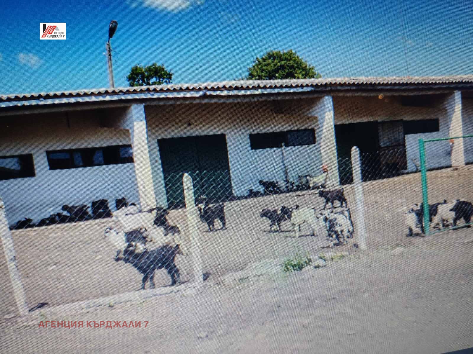 Продава ПРОМ. ПОМЕЩЕНИЕ, с. Соколяне, област Кърджали, снимка 5 - Производствени сгради - 53704325