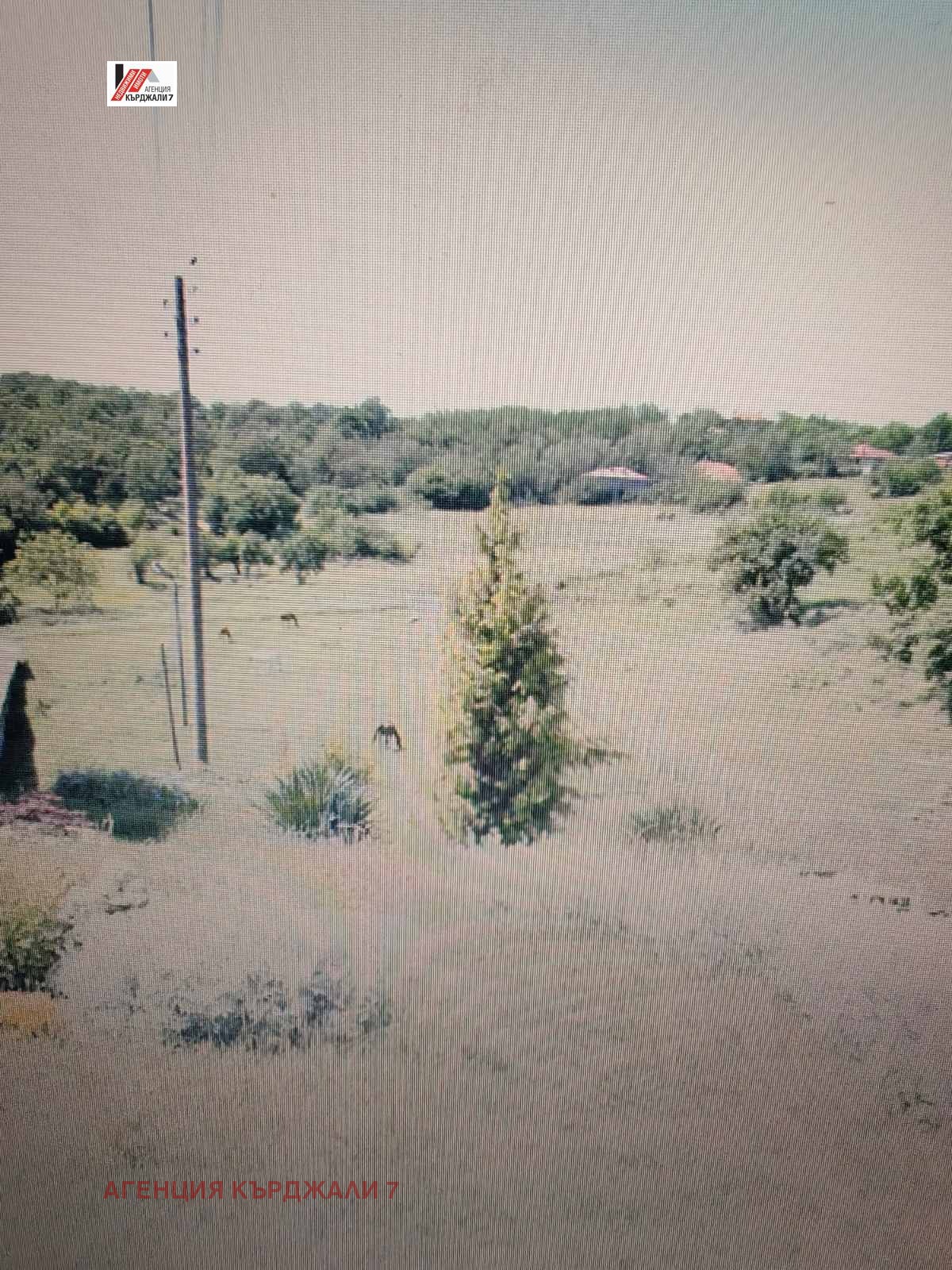 Продава ПРОМ. ПОМЕЩЕНИЕ, с. Соколяне, област Кърджали, снимка 10 - Производствени сгради - 53704325