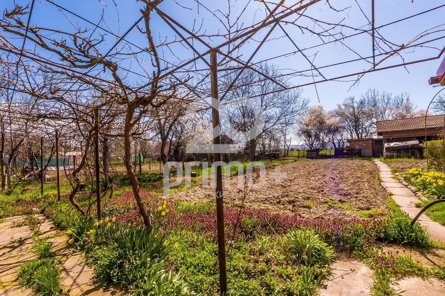 ������� ���� | Imot.bg � ����������� 10