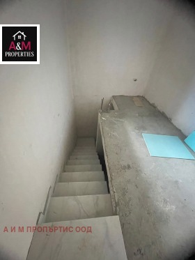 ����� ������� �������,���� �����������, ������� ������