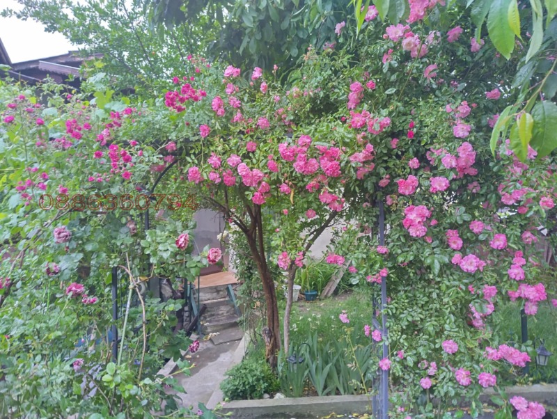 Till salu  Hus region Pazardzhik , Vetren , 300 kvm | 91530322 - bild [4]