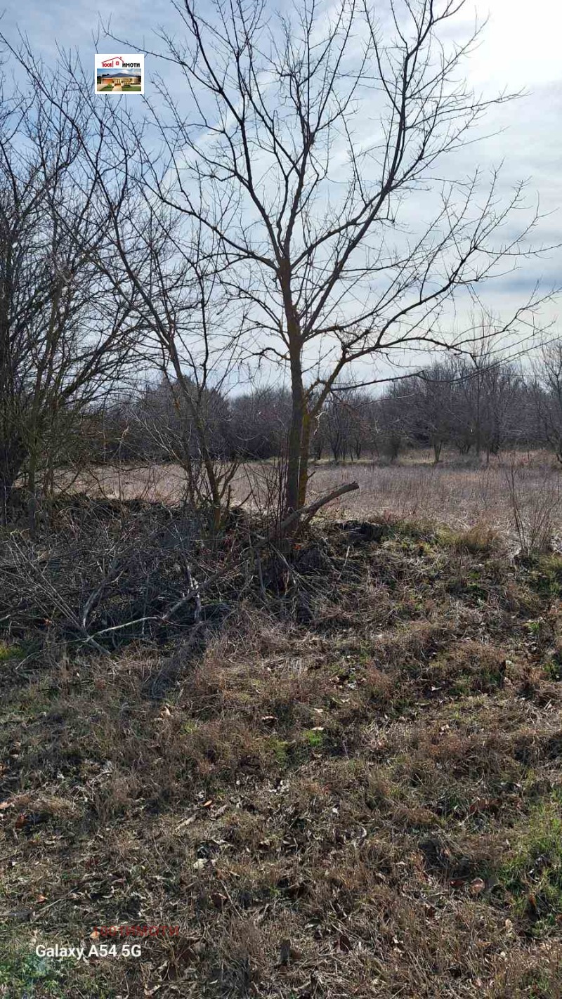 Продава КЪЩА, с. Нейково, област Добрич, снимка 8 - Къщи - 52664981