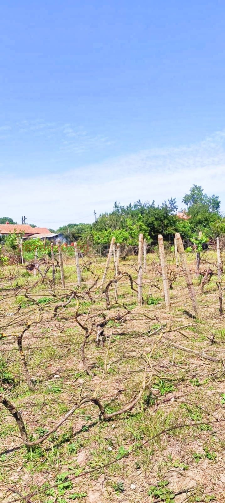 ������� ���� | Imot.bg � ����������� 14