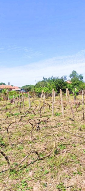 ������� ���� | Imot.bg � ����� ������ 14