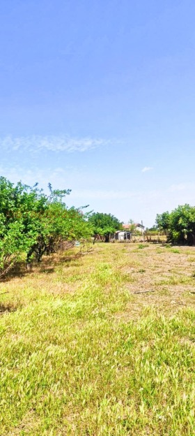 ������� ���� | Imot.bg � ����� ������ 12