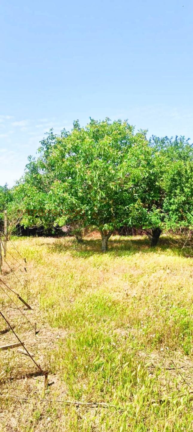 Продава КЪЩА, гр. Каварна, област Добрич, снимка 13 - Къщи - 54031465