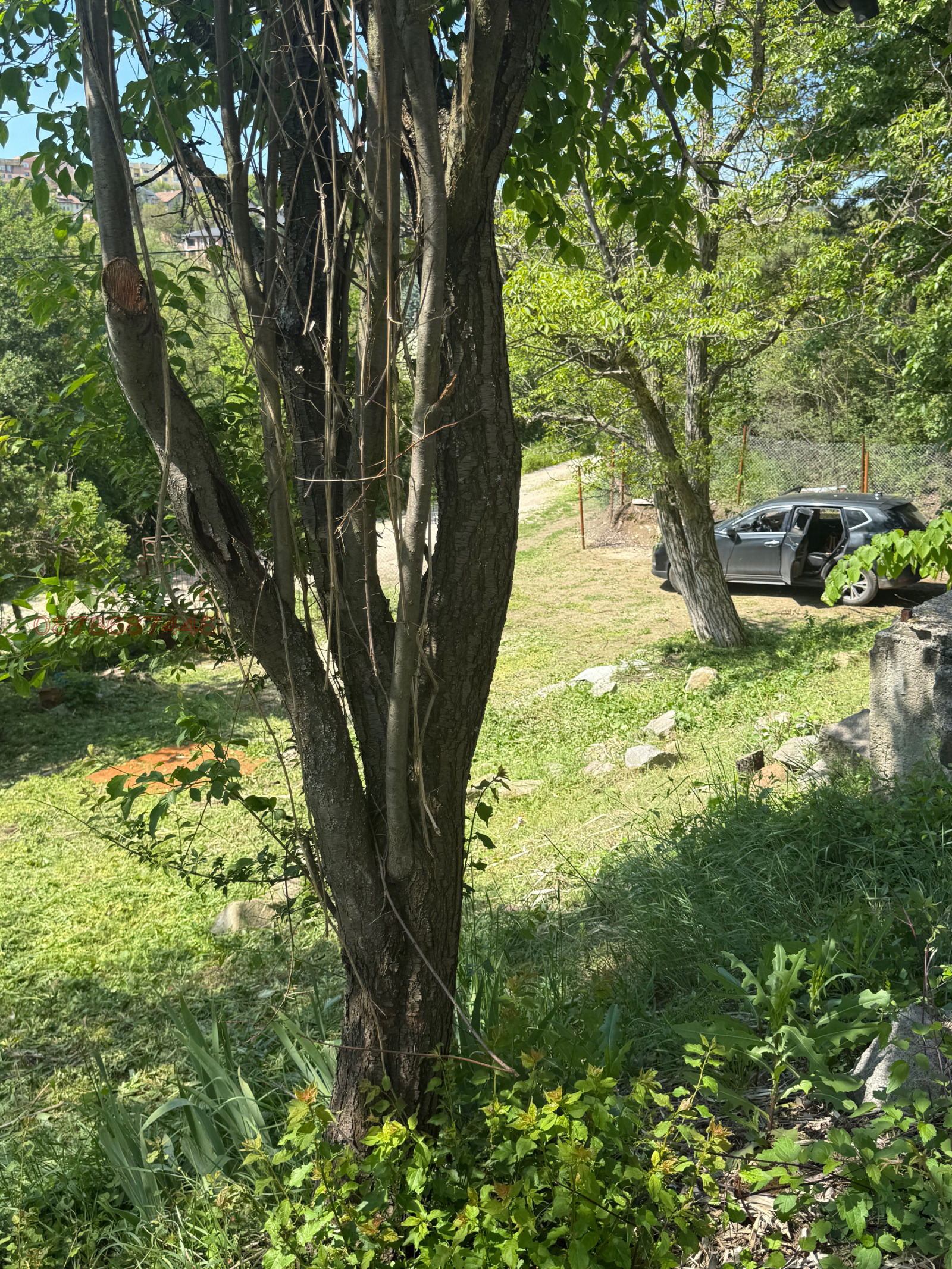 Продава КЪЩА, гр. София, гр. Банкя, снимка 5 - Къщи - 54490904