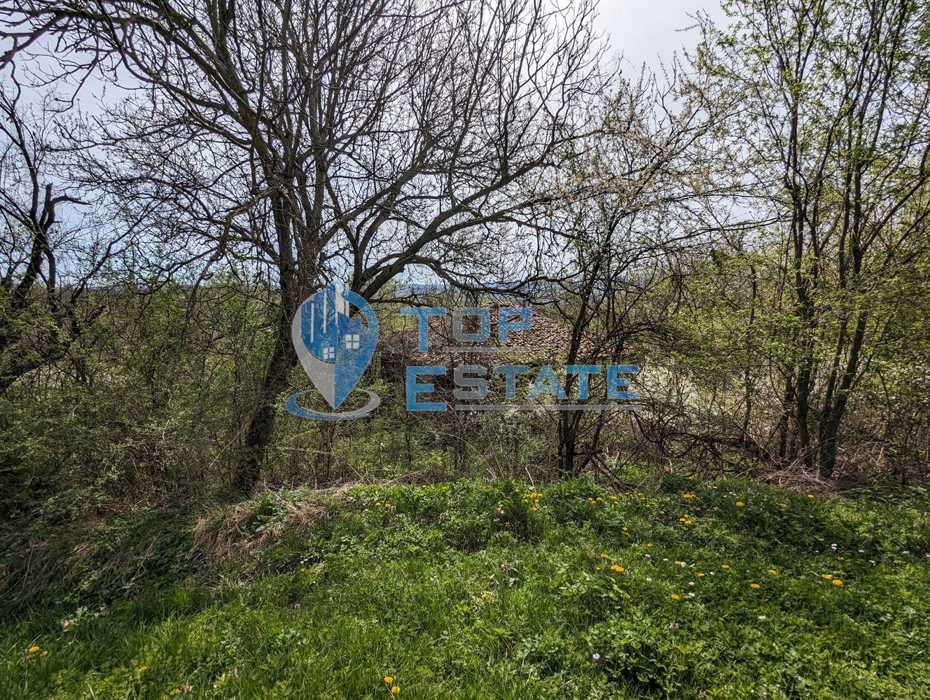 ������� ������ | Imot.bg � ����������� 4