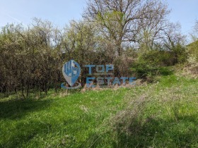������� ������ | Imot.bg � ����� ������ 8