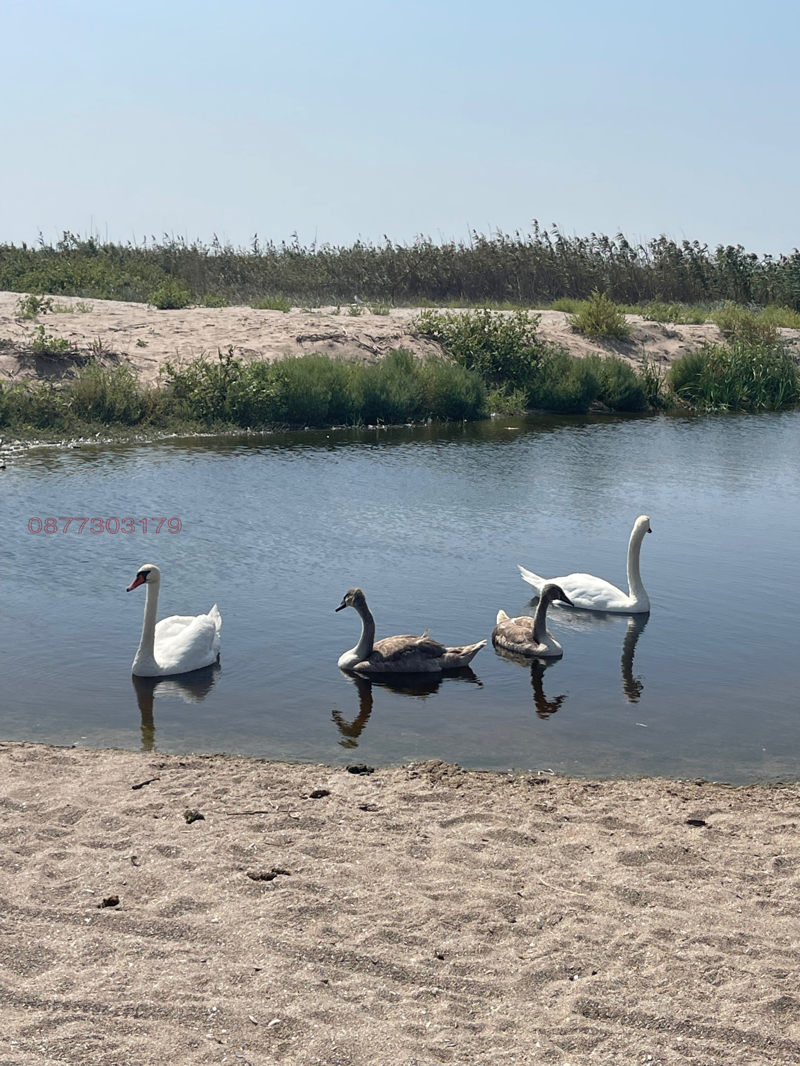 Продава КЪЩА | Imot.bg — изображение 5