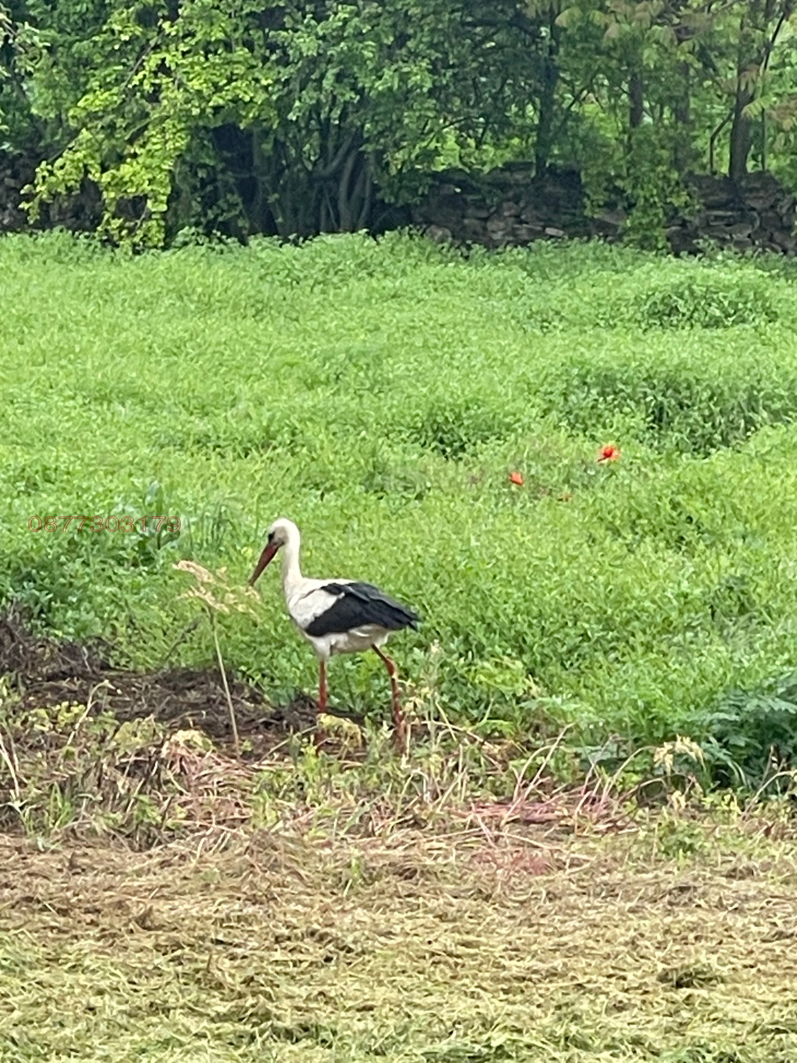 Продава КЪЩА | Imot.bg — изображение 4