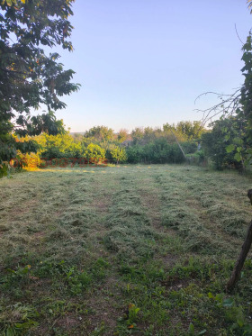 ������� ���� | Imot.bg � ����� ������ 7