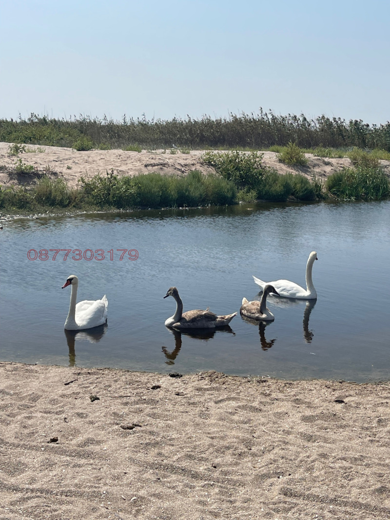 Продава КЪЩА, с. Езерец, област Добрич, снимка 4 - Къщи - 52779625