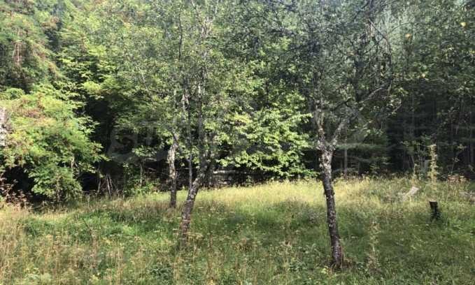 For Sale  Plot region Blagoevgrad , Bansko , 6000 sq.m | 62762581 - image [3]