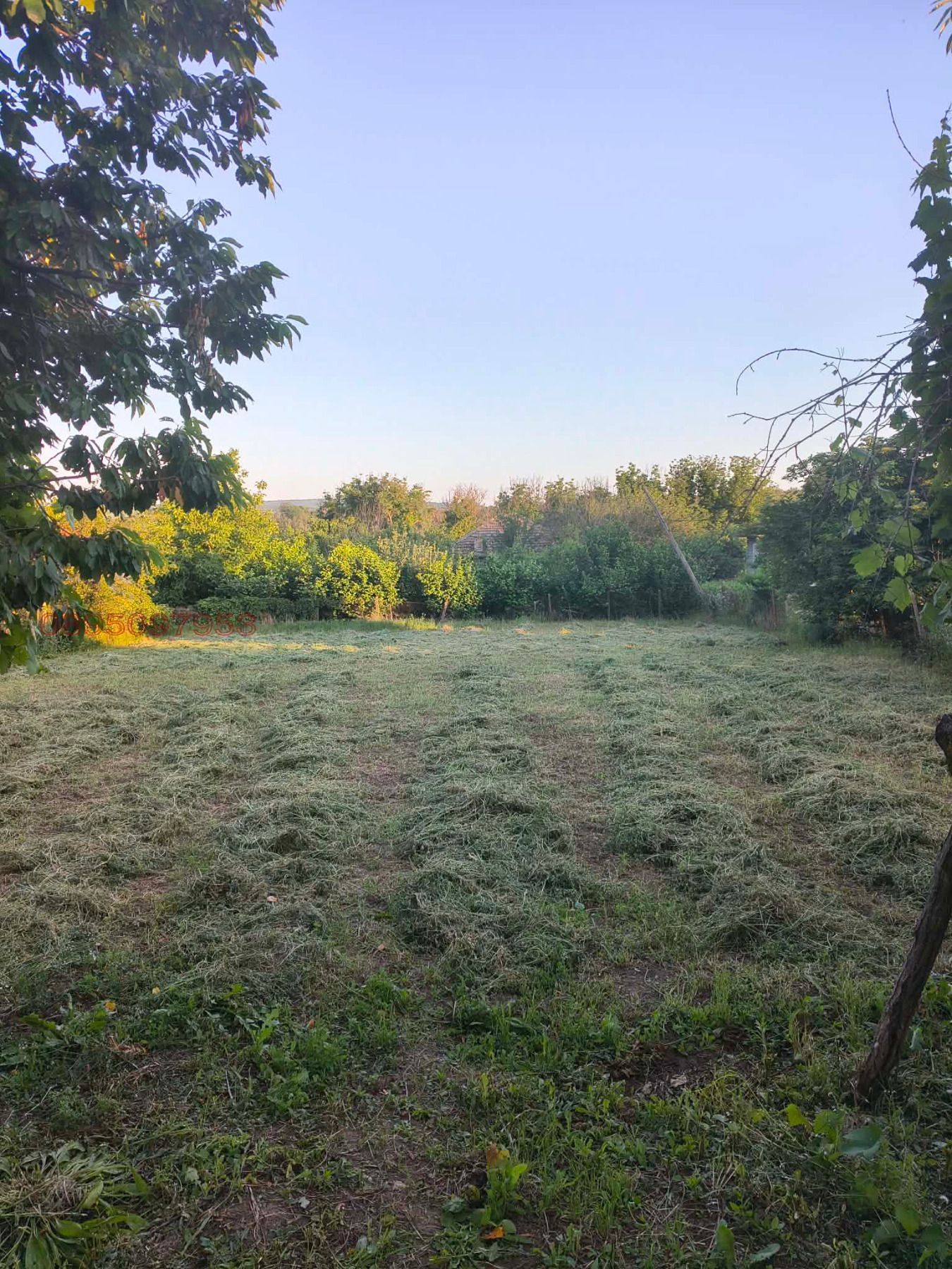 Продава КЪЩА, с. Осенец, област Разград, снимка 7 - Къщи - 55068816