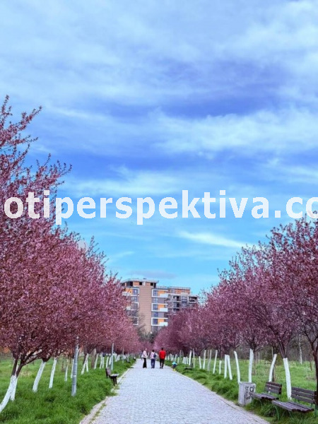 ������� 3-����� | Imot.bg � ����������� 12
