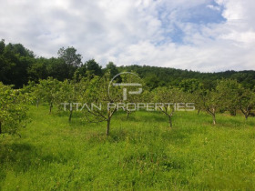 Trama Bratsigovo, región Pazardzhik
