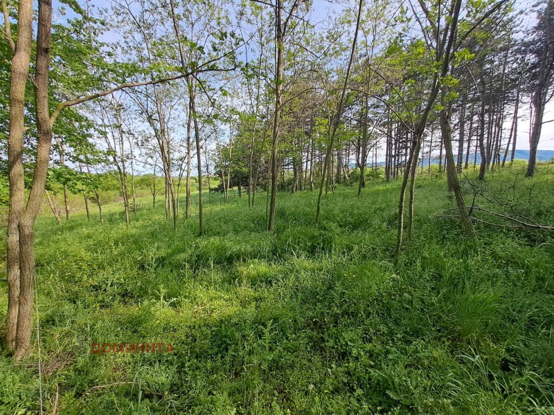 For Sale  Plot region Burgas , Lozenets , 1140 sq.m | 45109361 - image [11]