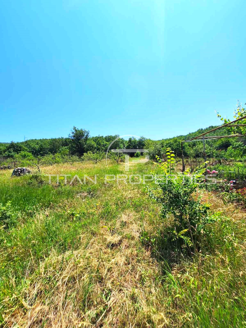 Продаја  Плот регион Пазарџик , Брацигово , 1300 м2 | 69140755 - слика [5]