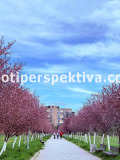 Продава 3-СТАЕН, гр. Пловдив, Тракия, снимка 12