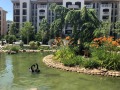 Продава 1-СТАЕН, област Бургас, к.к. Слънчев бряг • 67000 € • 89042905 — Holmes.bg