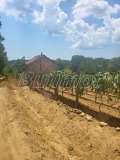 Продава ПАРЦЕЛ, град Варна, м-т Боровец - юг • 34000 € • 40058563 — Holmes.bg