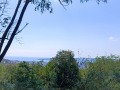 Продава ПАРЦЕЛ, град Варна, м-т Планова • 26500 € • 43589853 — Holmes.bg