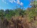 Продава ПАРЦЕЛ, град Варна, м-т Планова • 26500 € • 43589853 — Holmes.bg