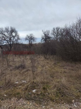 ����� ������� ������,��. ��������, ������ �����