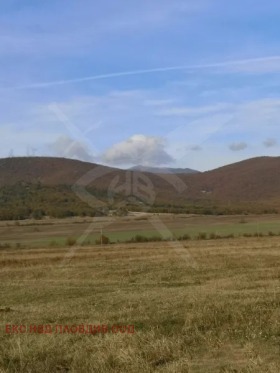 ПАРЦЕЛ, 1 130 m2