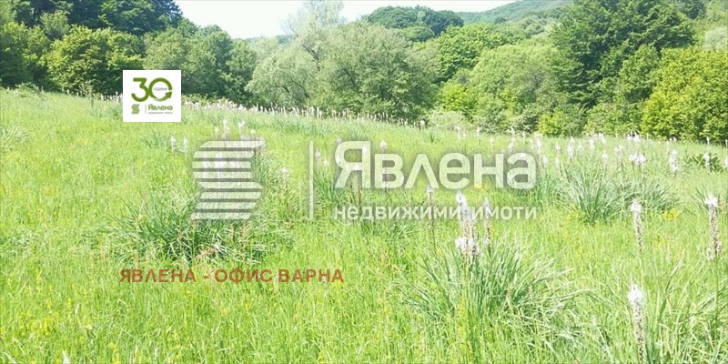 Продава ПАРЦЕЛ, с. Цонево, област Варна, снимка 1 - Парцели - 49365507