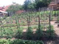 Продава КЪЩА, с. Девене, област Враца, снимка 10