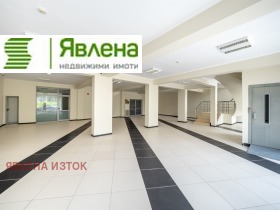 ����� ������� �������,���� �����, ������ ����