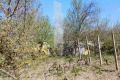Продава ПАРЦЕЛ, с. Кранево, област Добрич, снимка 3