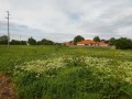 Продава ПАРЦЕЛ, с. Крумово, област Пловдив, снимка 1