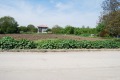 Продава  Парцел област Добрич , с. Крапец , 1200 кв.м | 85039757 - изображение [2]