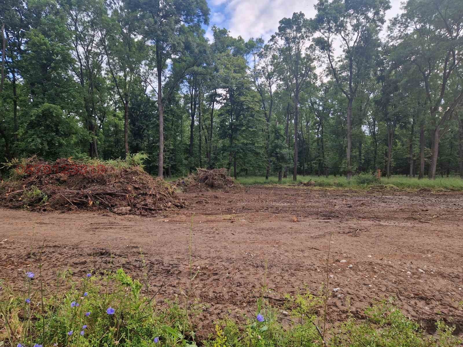 ������� ������ | Imot.bg � ����������� 7