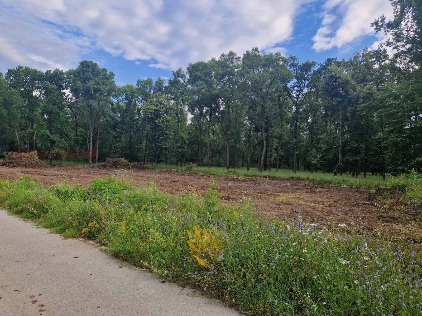 ������� ������ | Imot.bg � ����������� 8