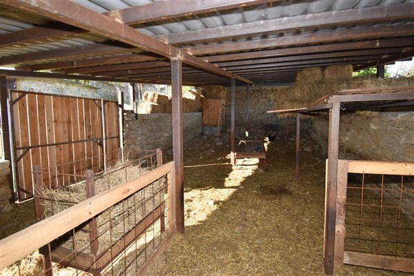Til salg  Hus region Veliko Tarnovo , Tserova koriya , 300 kvm | 15227256 - billede [14]