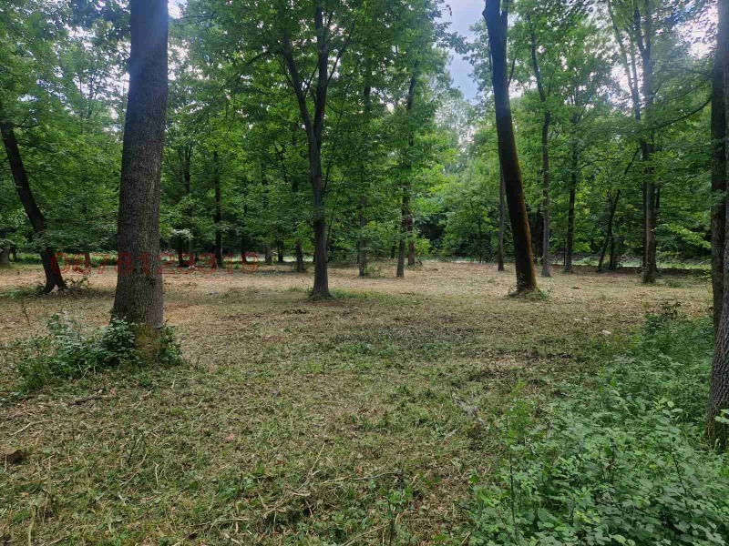 Продава  Парцел град Враца , Студентски град , 12000 кв.м | 70020596 - изображение [11]
