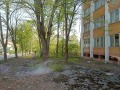Продава БИЗНЕС ИМОТ, гр. Бойчиновци, област Монтана, снимка 14