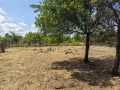Продава КЪЩА, област Велико Търново, с. Правда • 65000 € • 96236447 — Holmes.bg