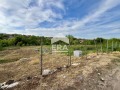 Продава ПАРЦЕЛ, с. Николово, област Русе, снимка 3