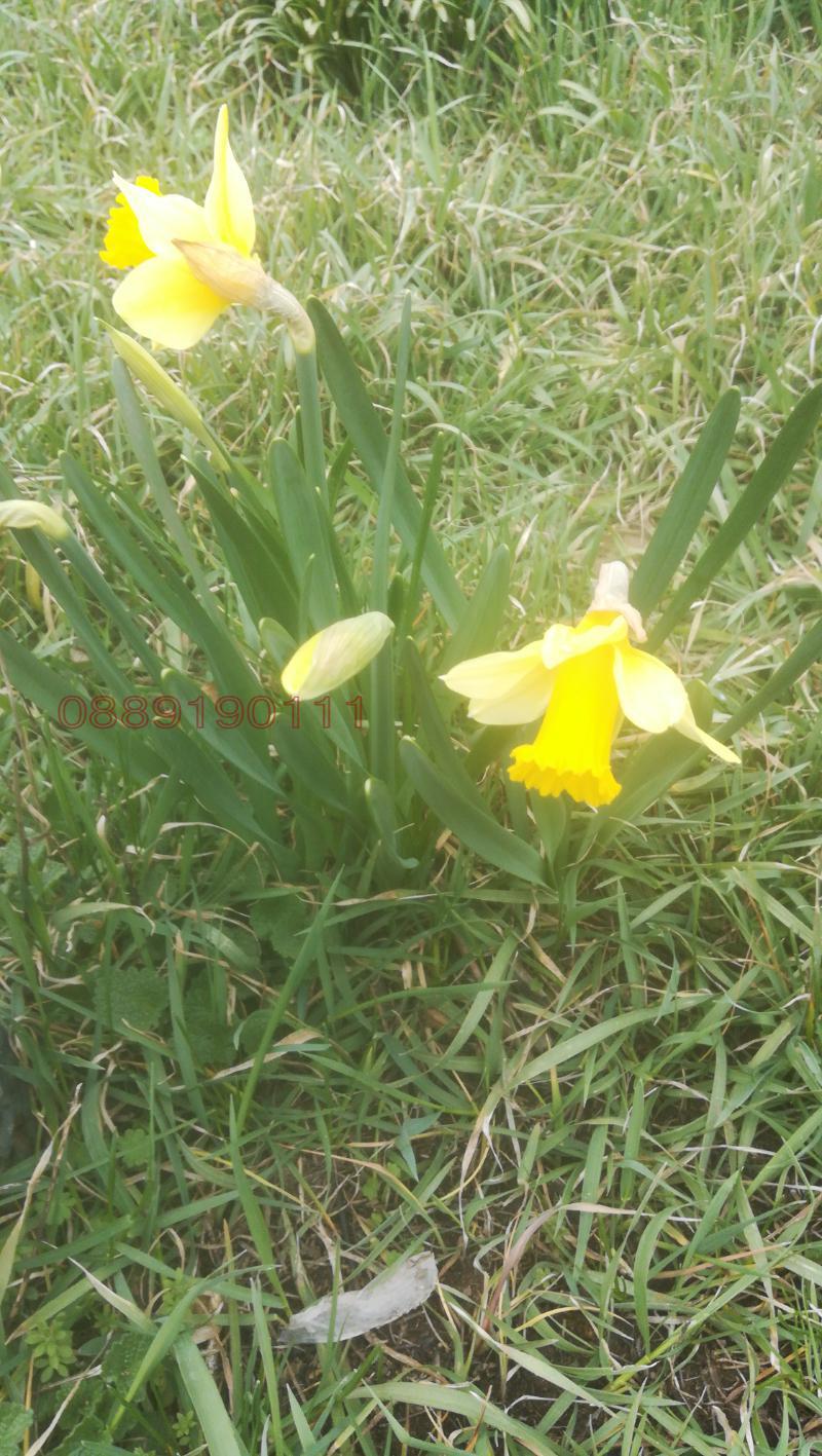 ������� ���� | Imot.bg � ����������� 15