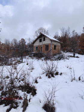 Вила с. Бяга, област Пазарджик 1