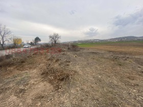 ����� ������� ������,���� ����� ������, �������� - ������