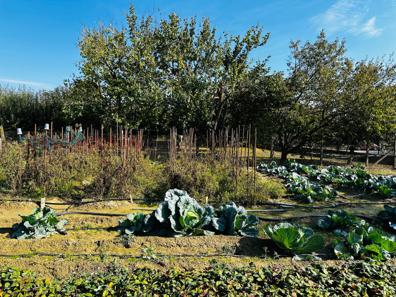 Продава ПАРЦЕЛ, гр. Стражица, област Велико Търново, снимка 5 - Парцели - 52468467