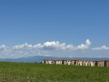 Продава 3-СТАЕН, с. Нови хан, област София област, снимка 15