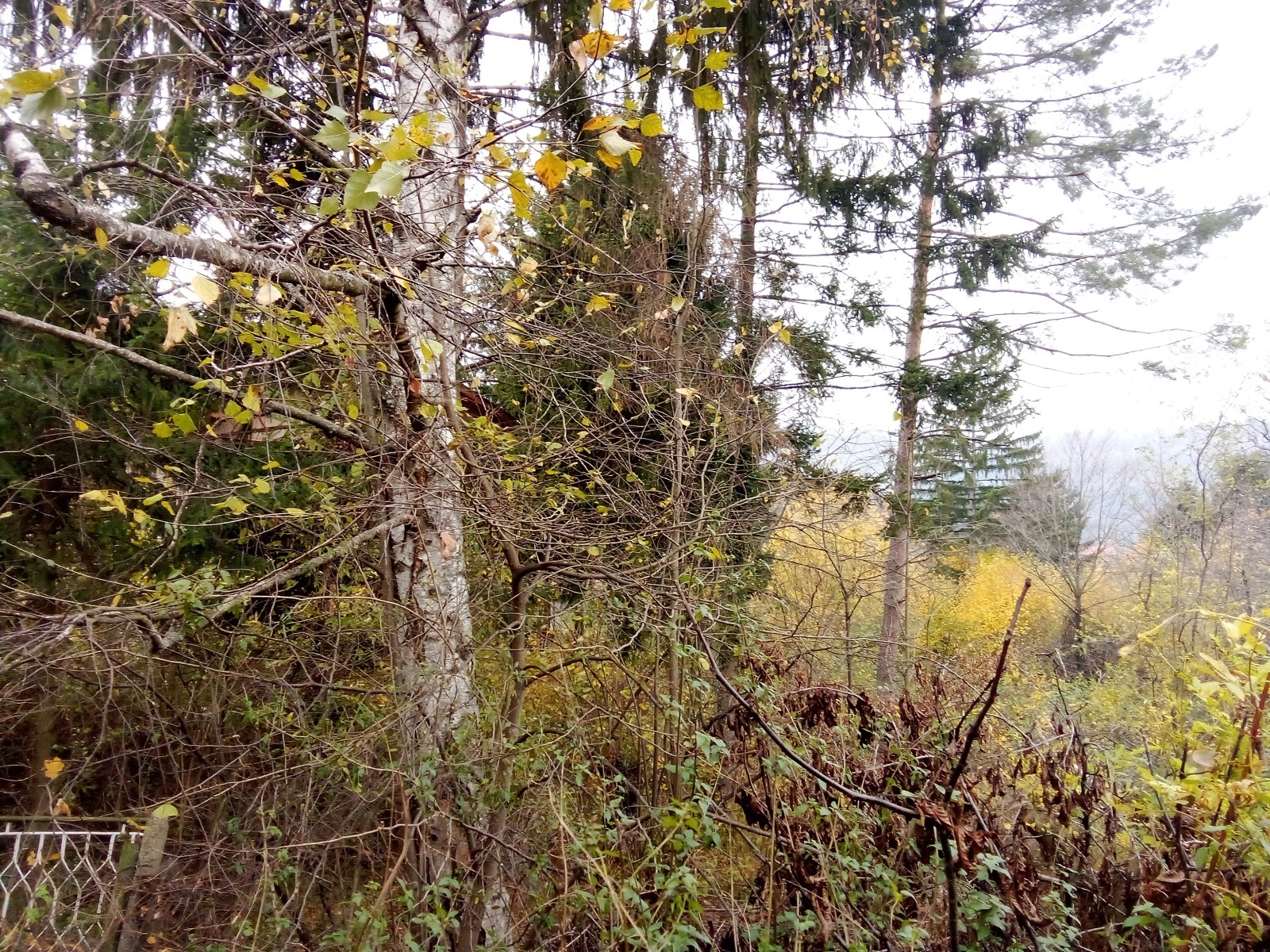 ������� ������ | Imot.bg � ����������� 2