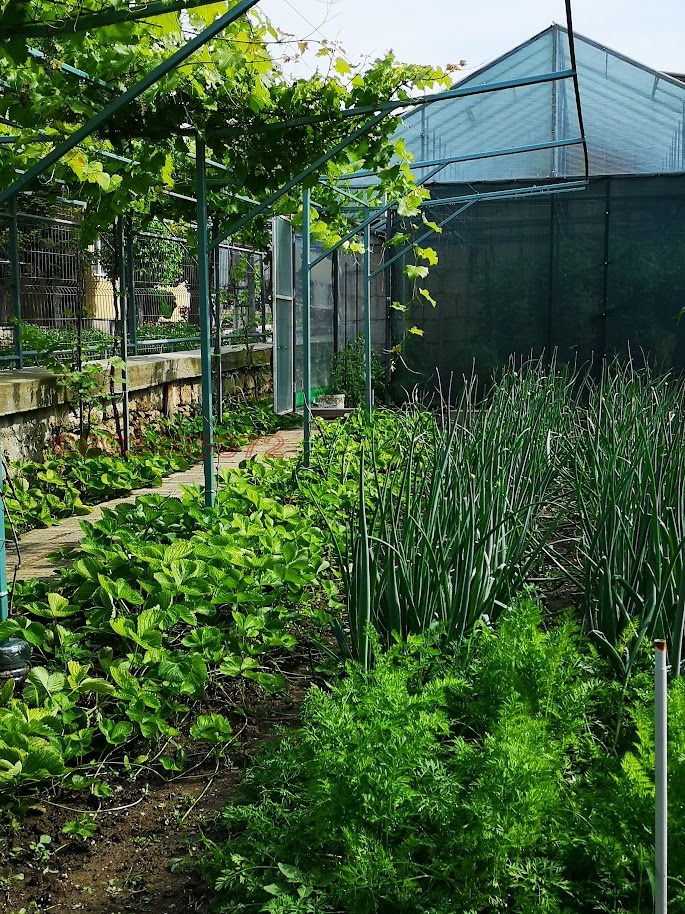 Продава КЪЩА, с. Красен, област Русе, снимка 3 - Къщи - 54260756